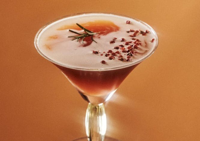 cocktail beverage alcohol drink martini