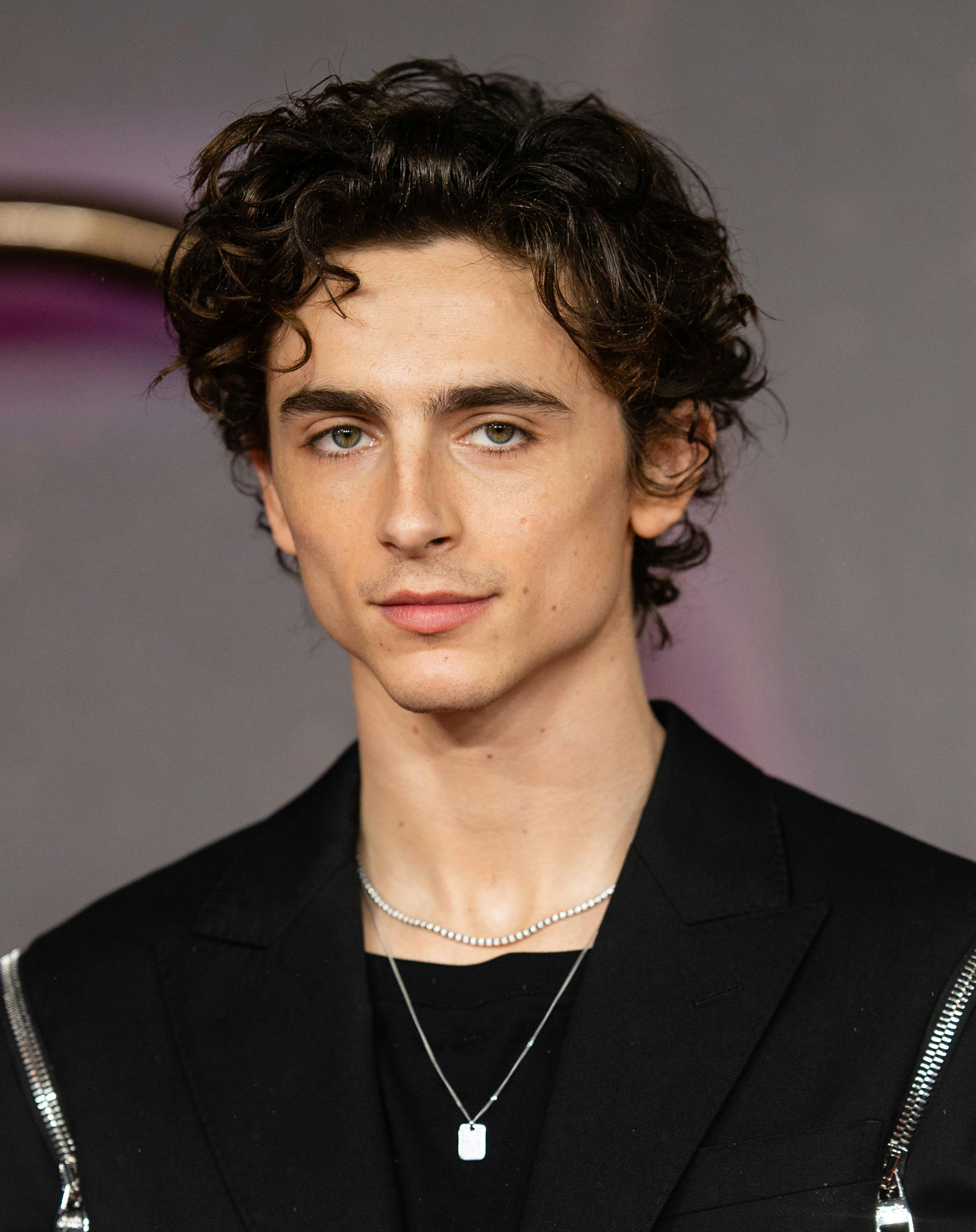 Timothée Chalamet Was Inspired by Austin Butler For His Upcoming Bob ...