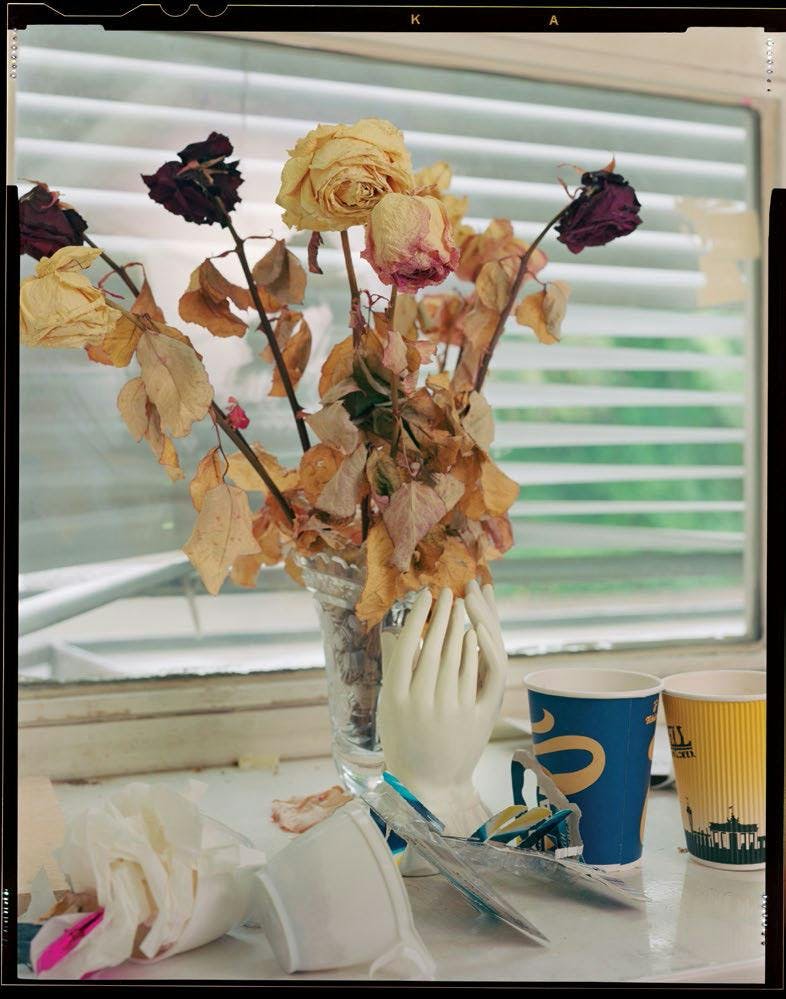 home decor plant ikebana ornament flower arrangement flower vase jar pottery blossom