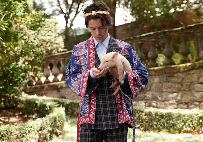 Harry Styles holding a baby pig wearing a plaid suit and printed jacket