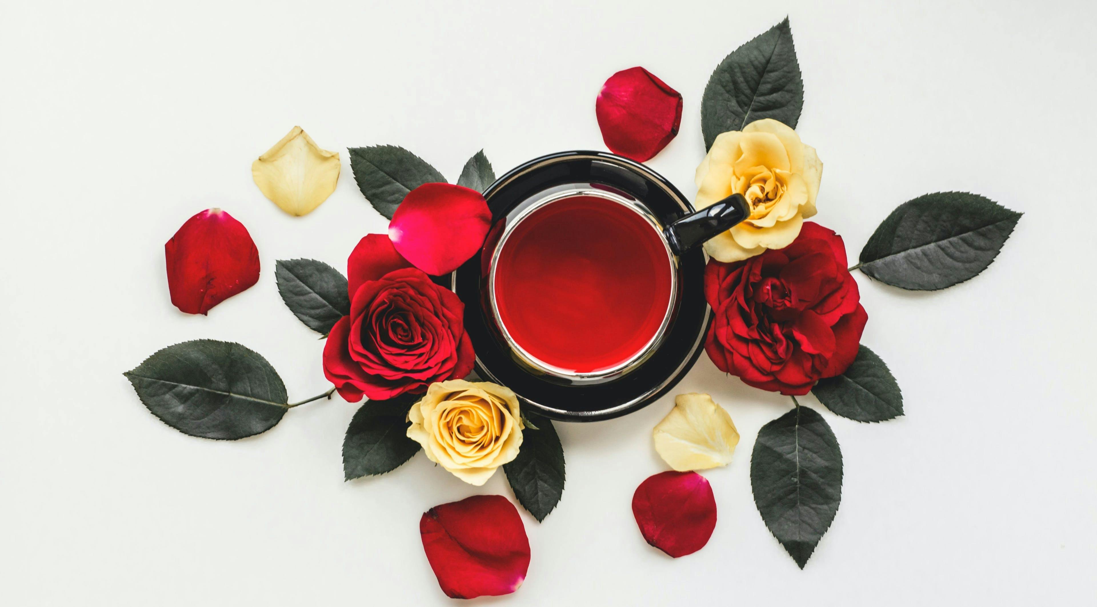 rose plant flower blossom tea beverage drink
