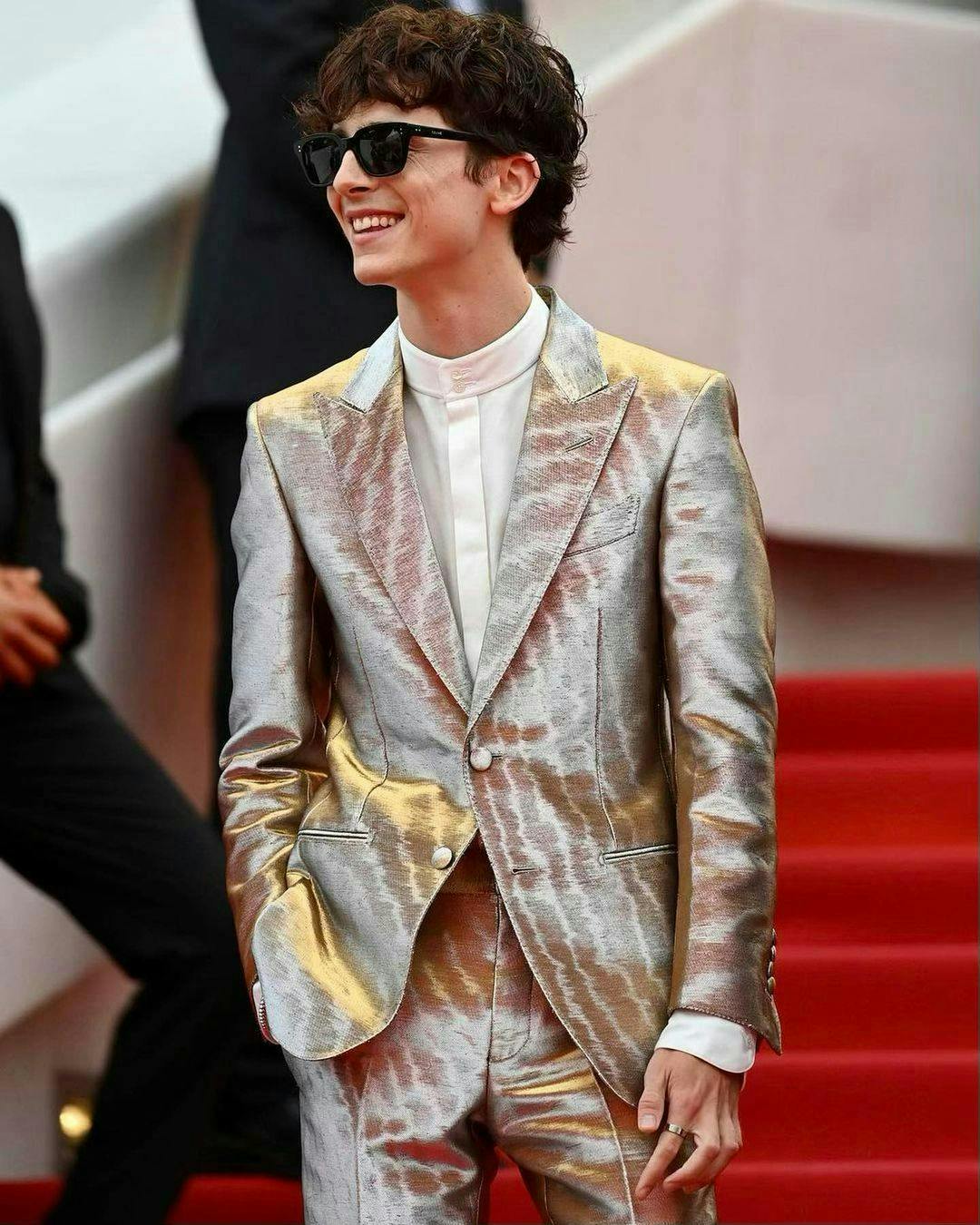 timothee chalamet in a silver suit red stairs