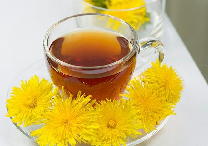Light brown dandelion tea sits in a clear teacup behind a row of yellow dandelions.