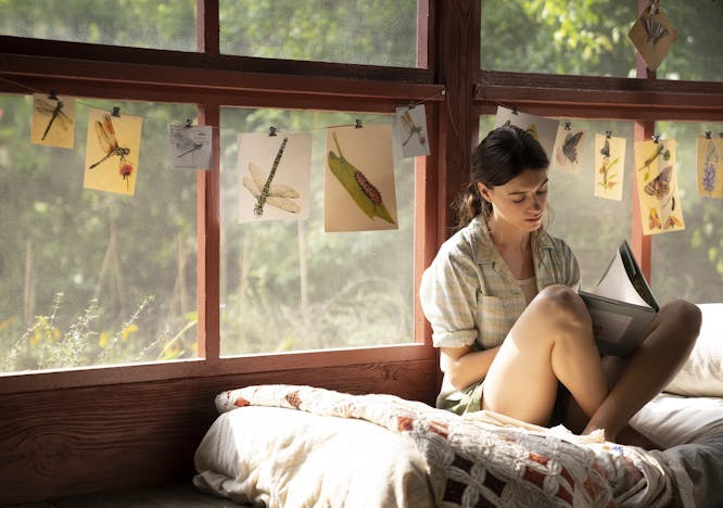 Daisy Edgar Jones in a still from Where The Crawdads Sing. She is sitting cross-legged on a bed reading, with nature drawings hanging behind her. 