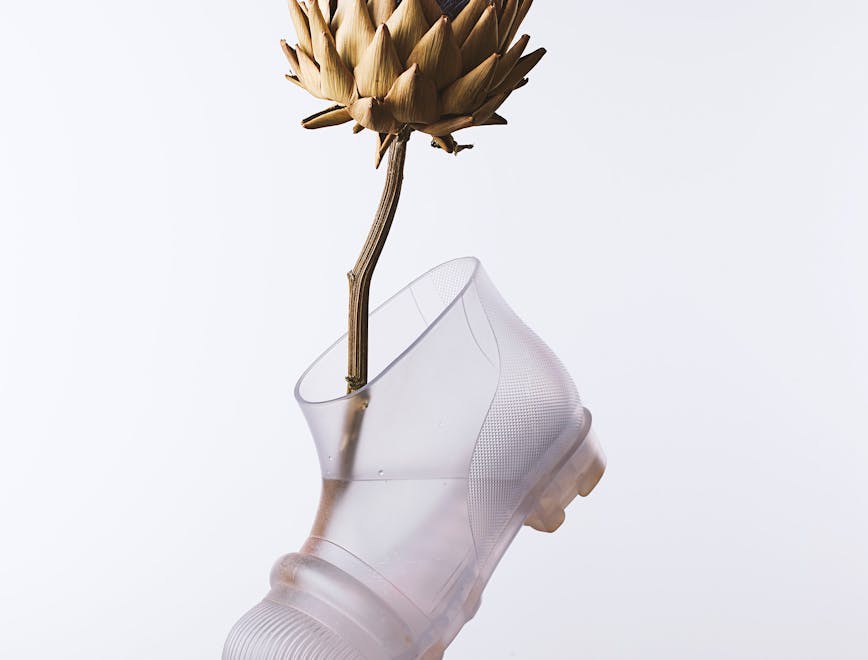 image of rubber boot with a flower in it and water