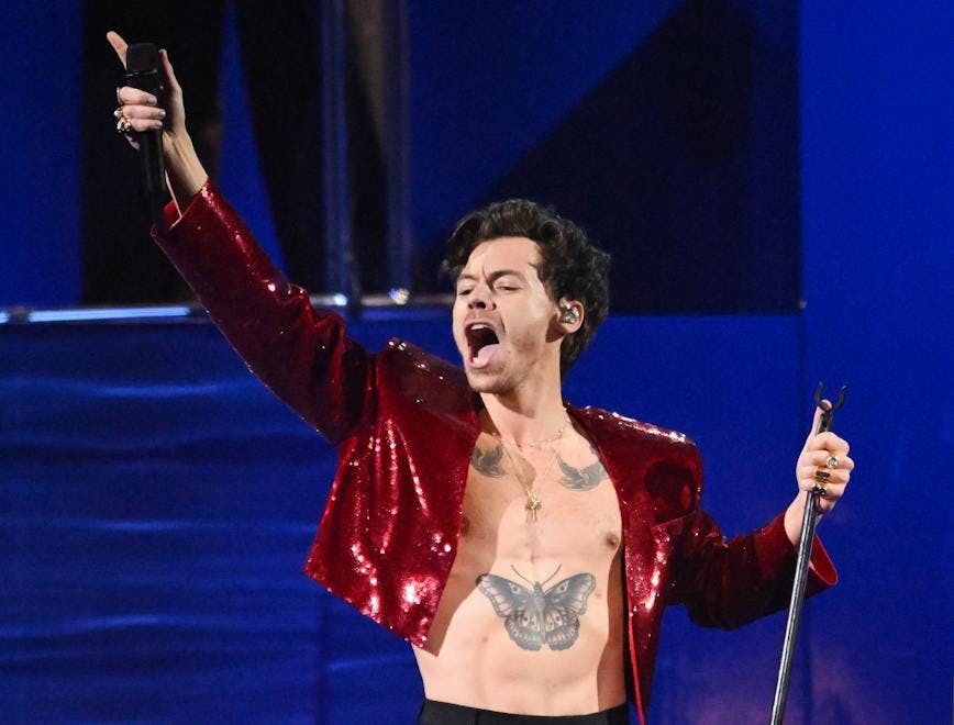 Celebrity Harry Styles was hit in the eye by an unknown object at her "Love On Tour" in Vienna and doubles over in pain.