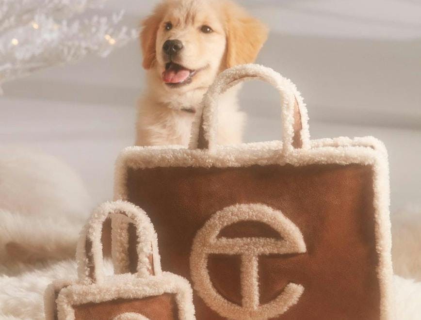 Two purses set in front of a dog.